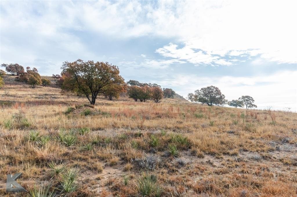 403 acres in Taylor County - photo 8