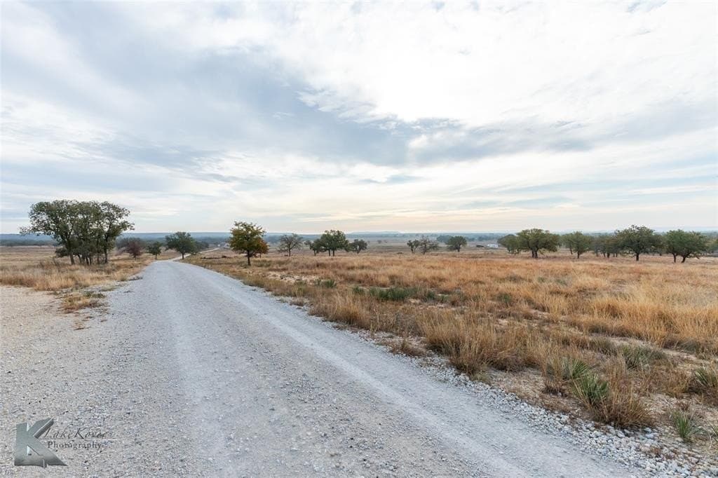 403 acres in Taylor County - photo 5
