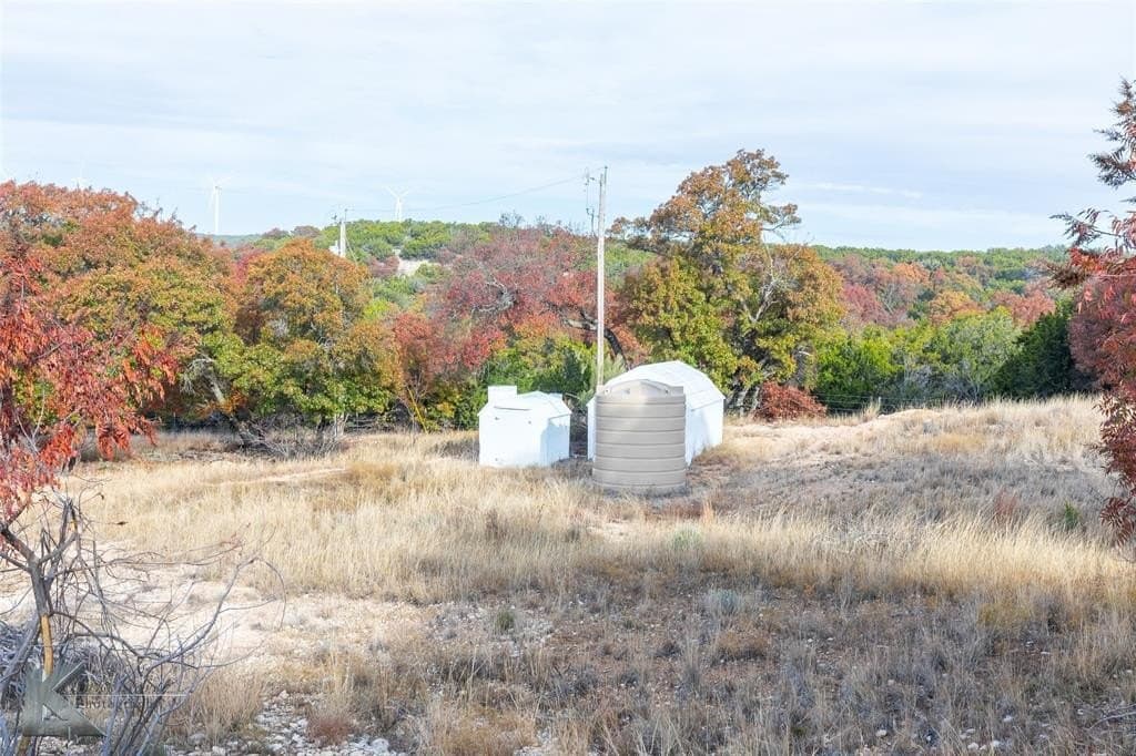 403 acres in Taylor County - photo 12