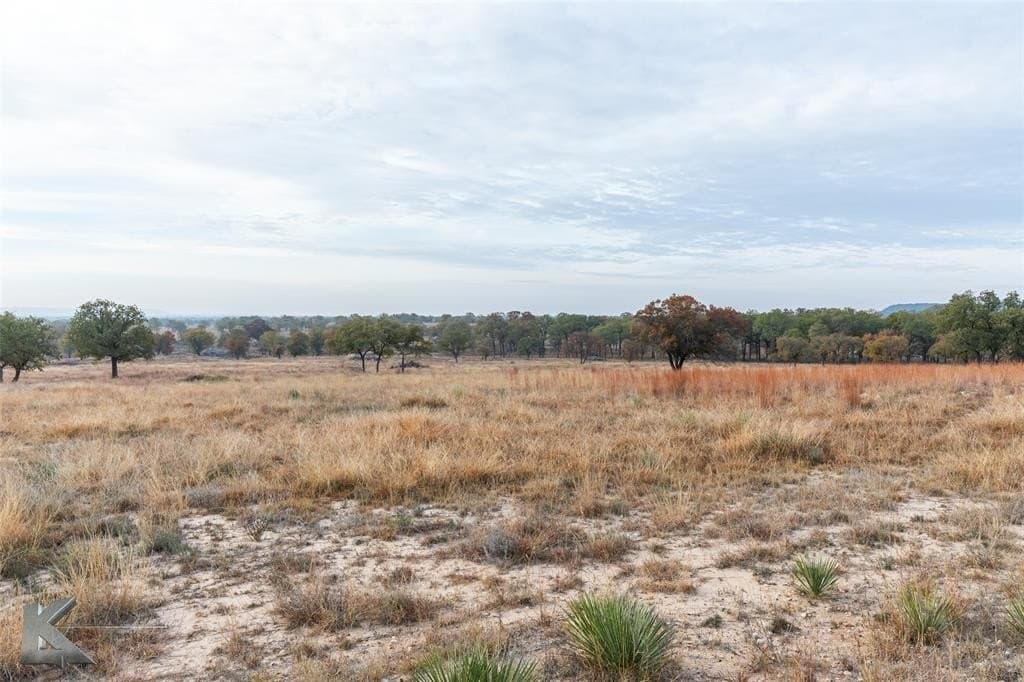 403 acres in Taylor County - photo 7