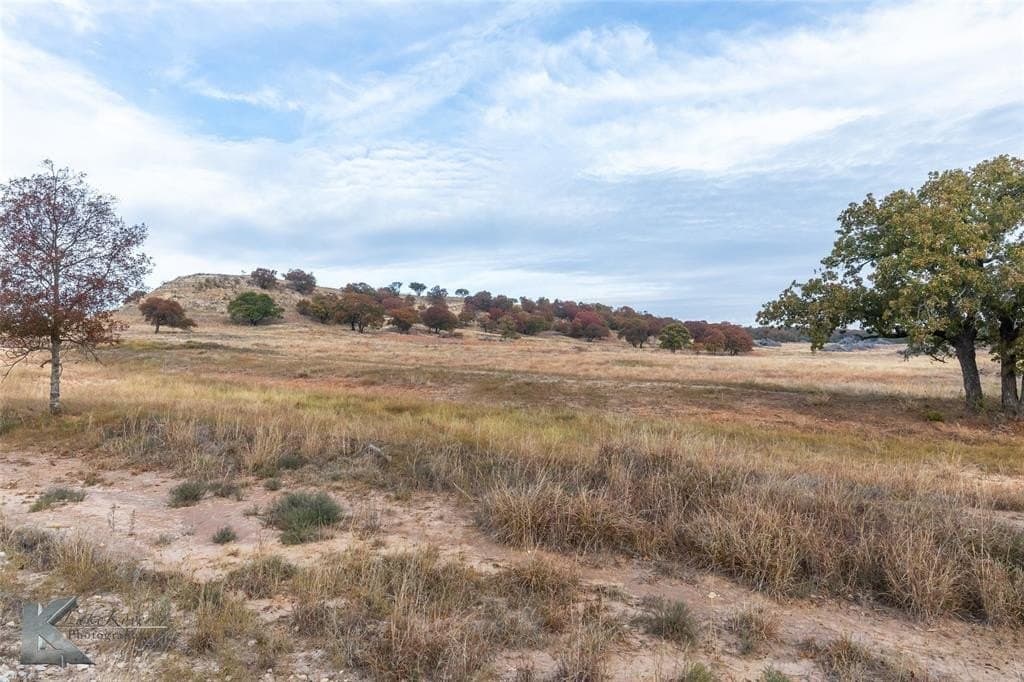 403 acres in Taylor County - photo 3