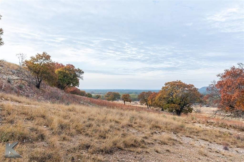 403 acres in Taylor County - photo 9