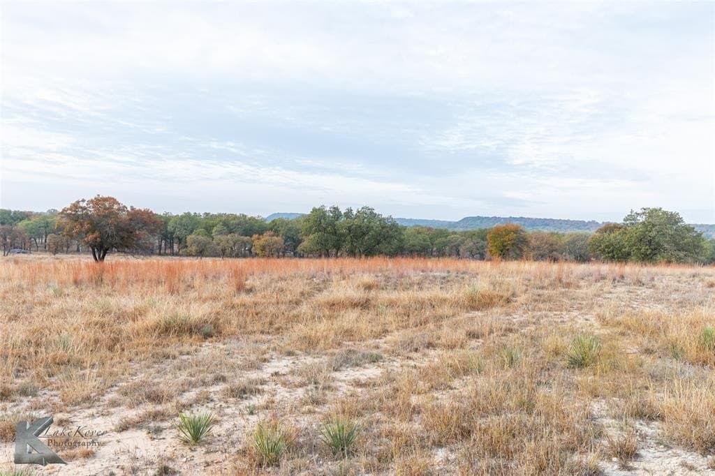 403 acres in Taylor County - photo 6