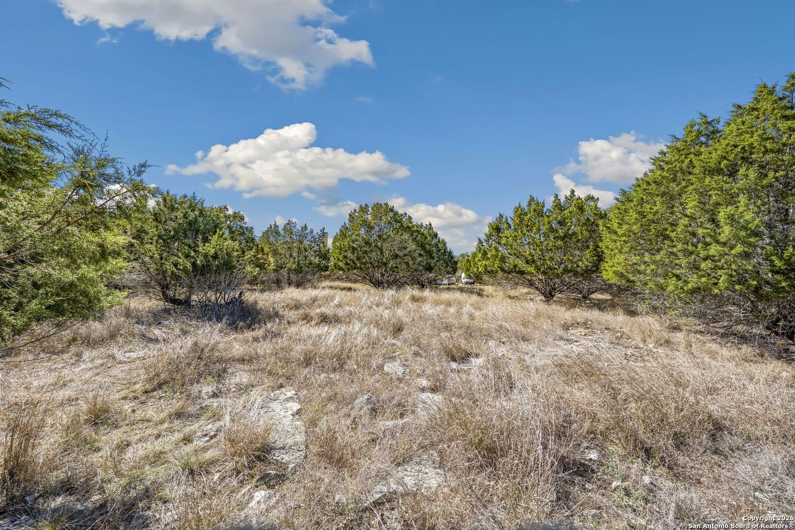 1.78 acres in Comal County - photo 12
