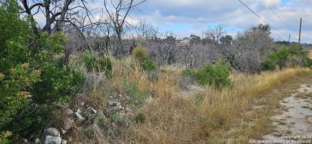 5.01 acres in Medina County - photo 10