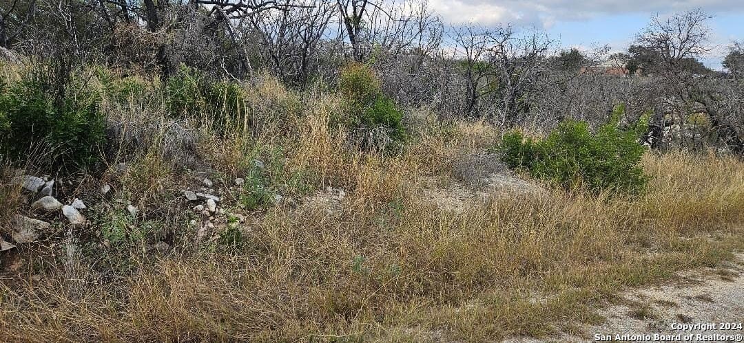 5.01 acres in Medina County - photo 6