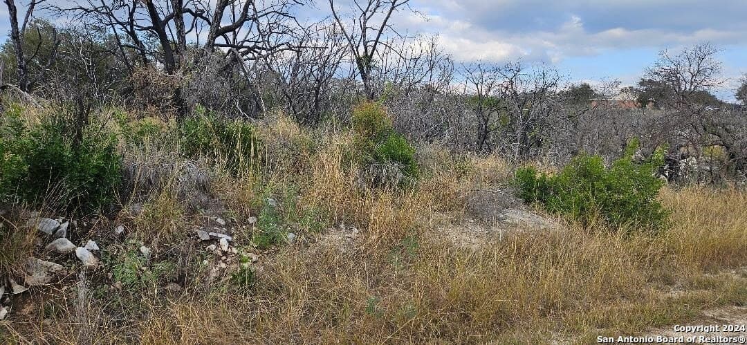5.01 acres in Medina County - photo 9