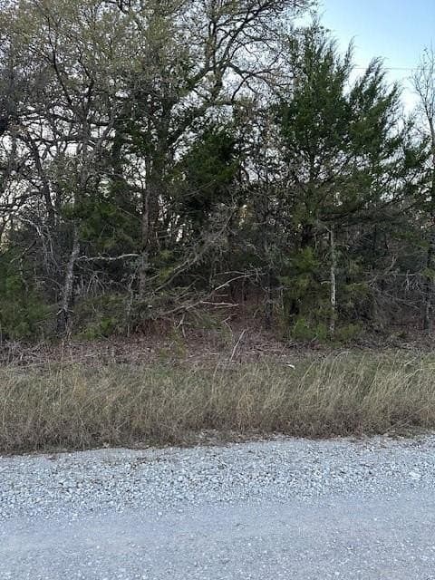 0.17 acres in Montague County - photo 2