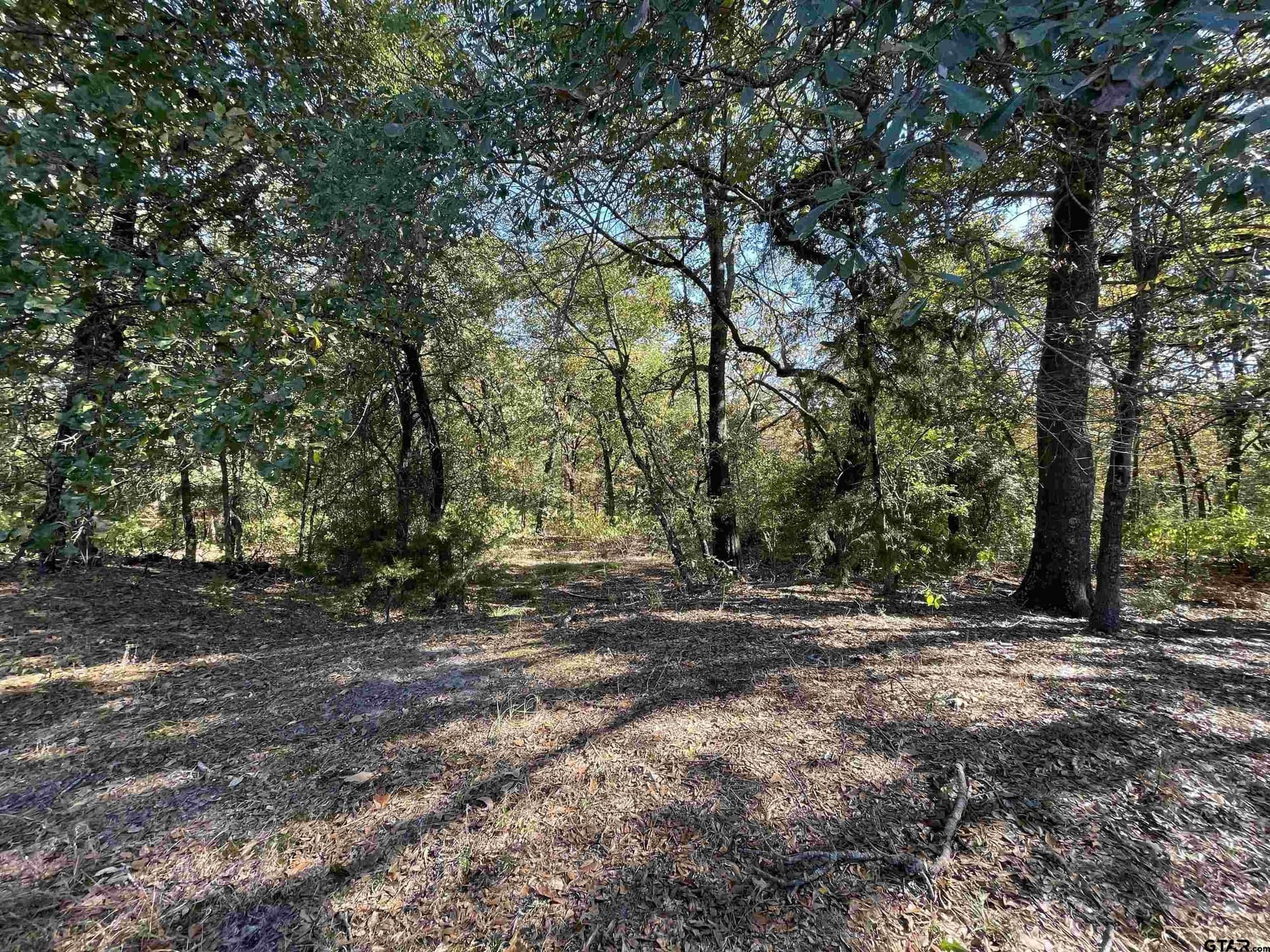 79.73 acres in Morris County - photo 4