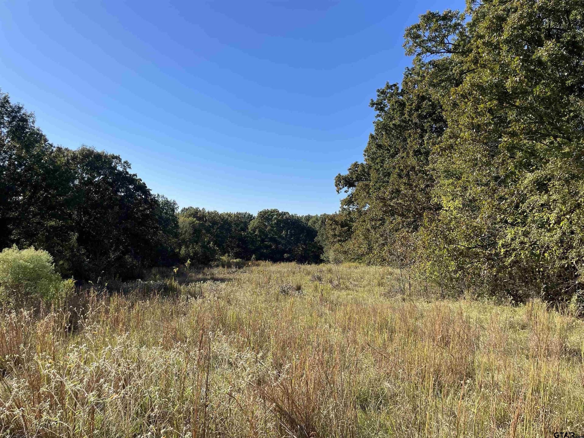 79.73 acres in Morris County - photo 20