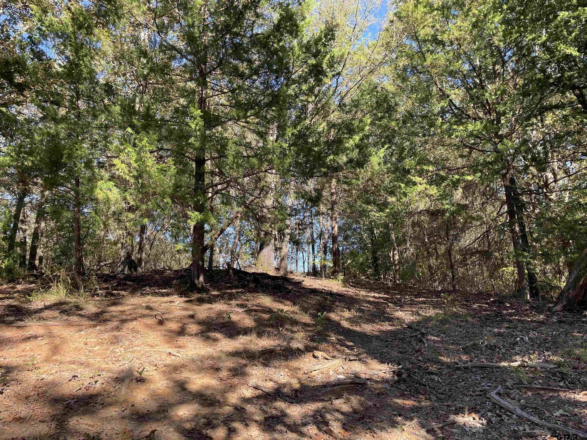 79.73 acres in Morris County - photo 11