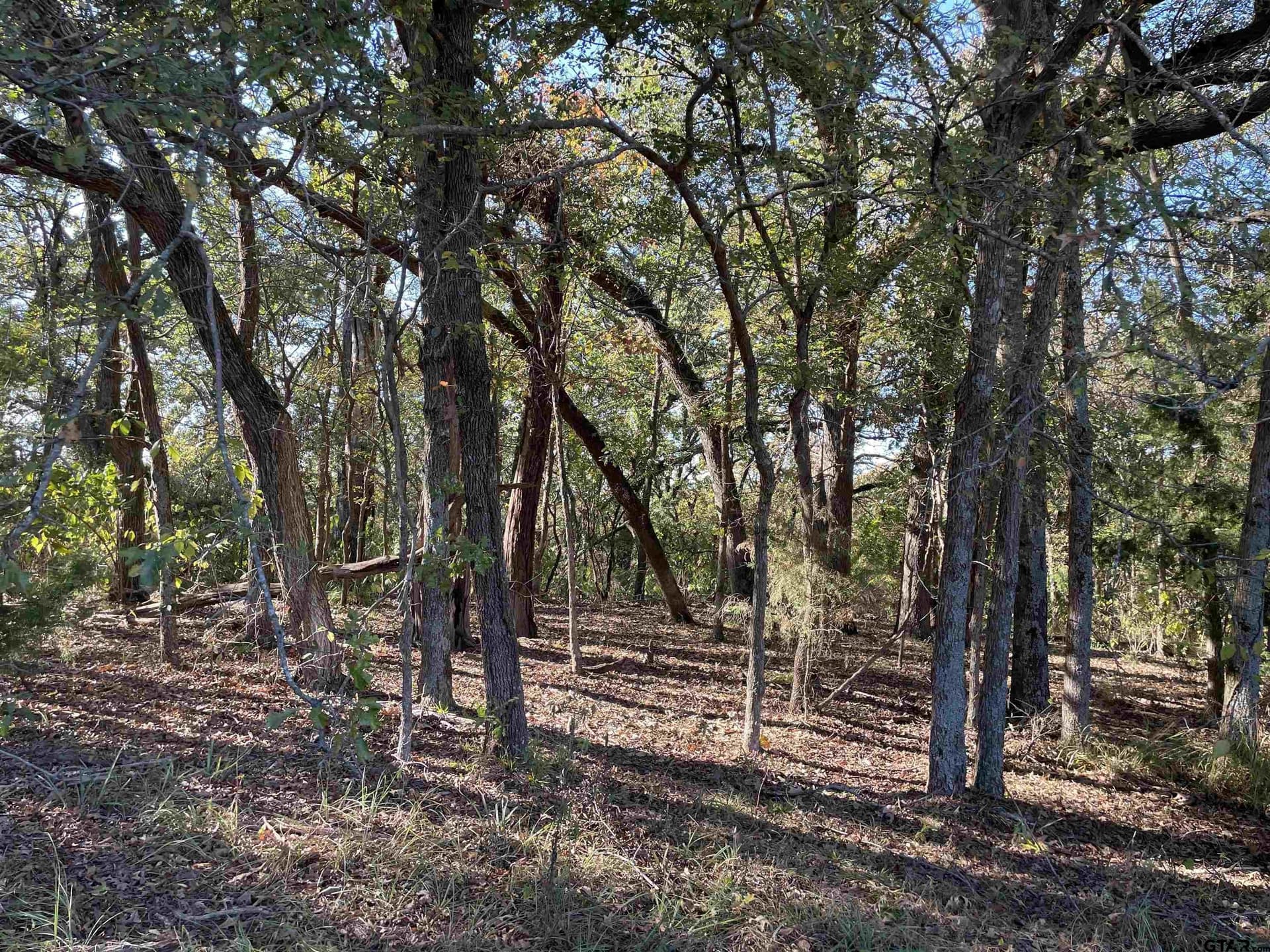 79.73 acres in Morris County - photo 13