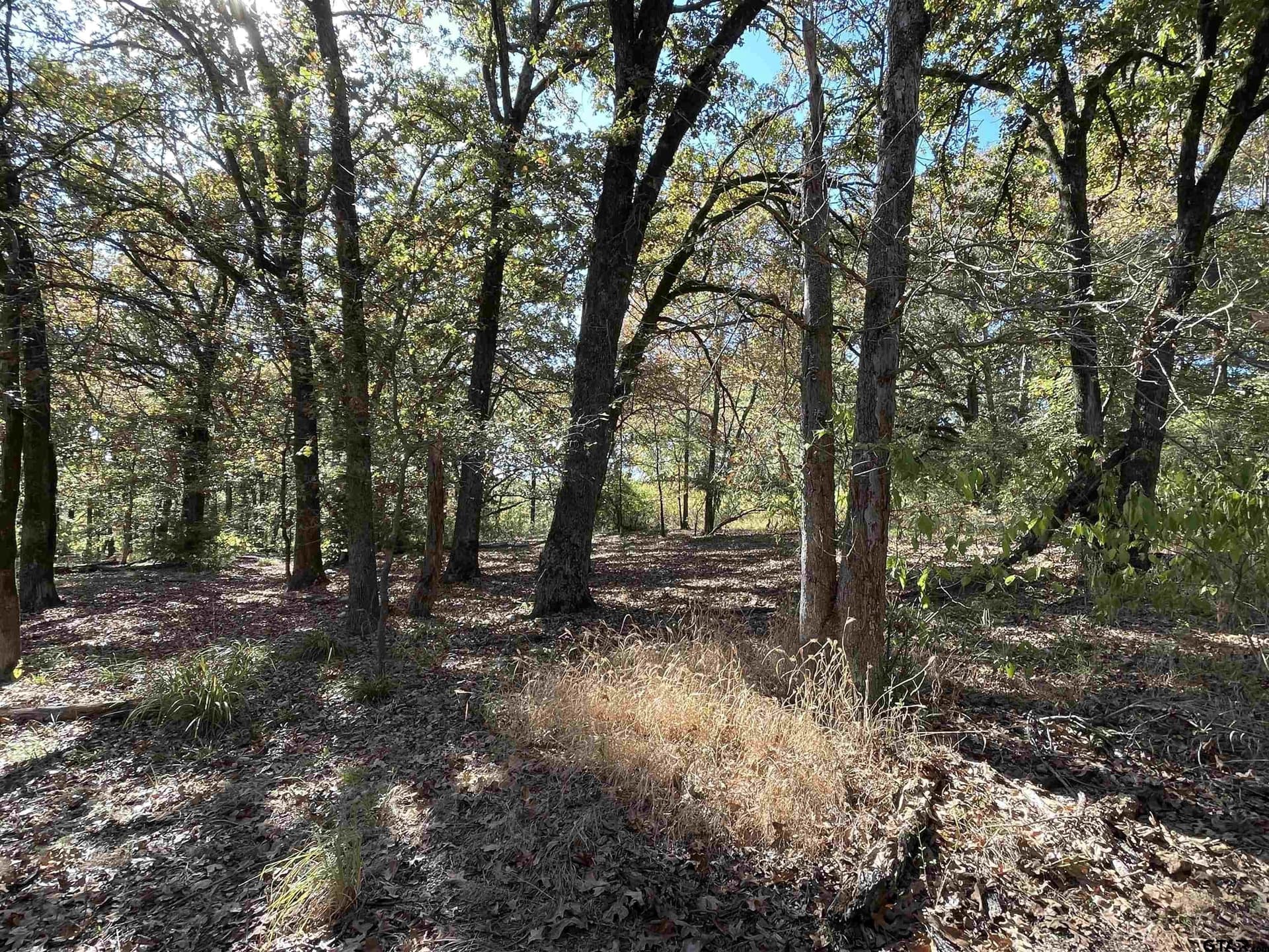 79.73 acres in Morris County - photo 5