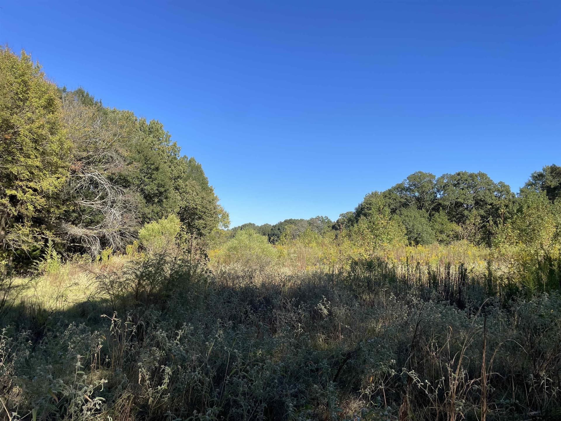 79.73 acres in Morris County - photo 12