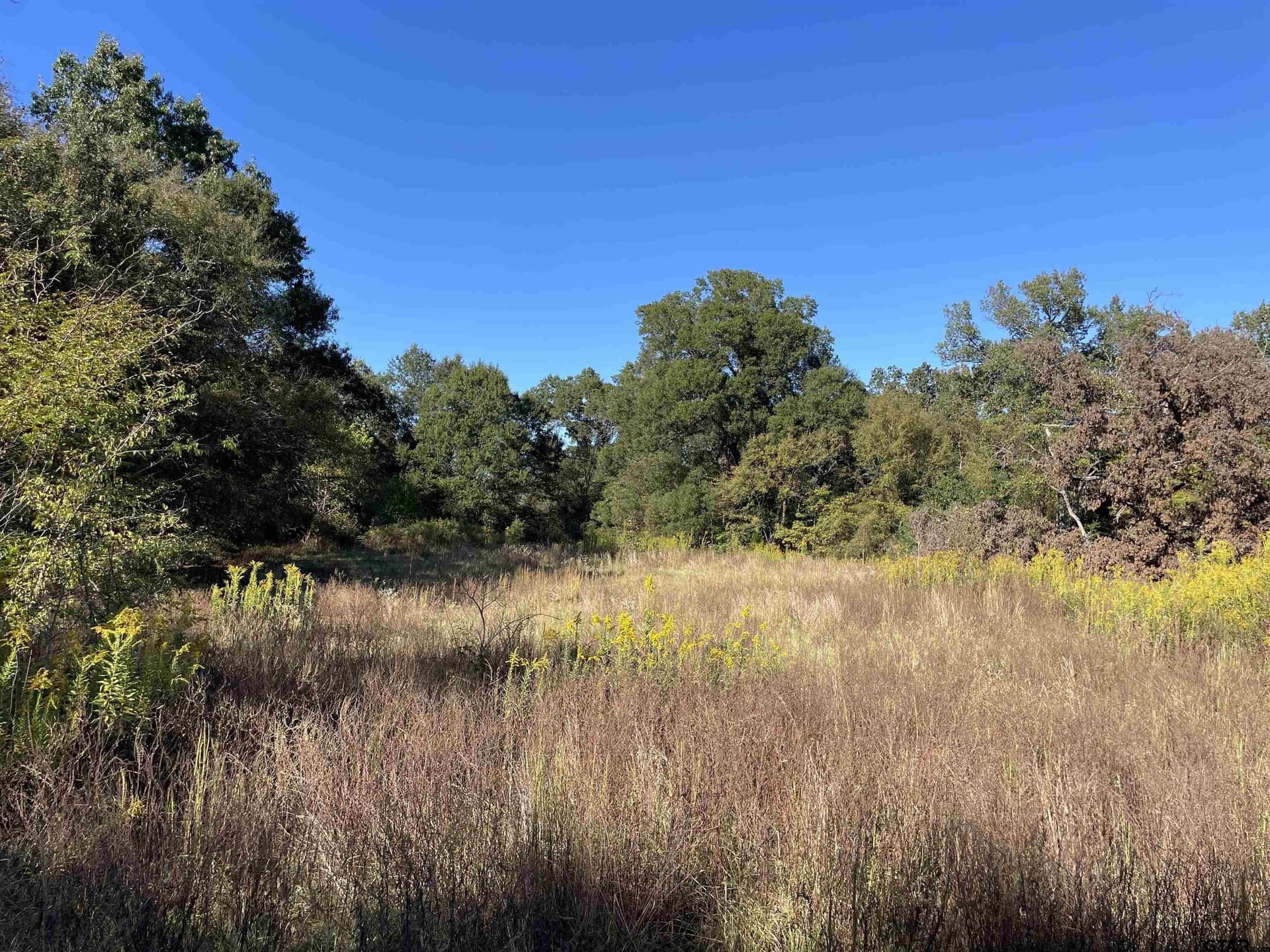79.73 acres in Morris County - photo 16
