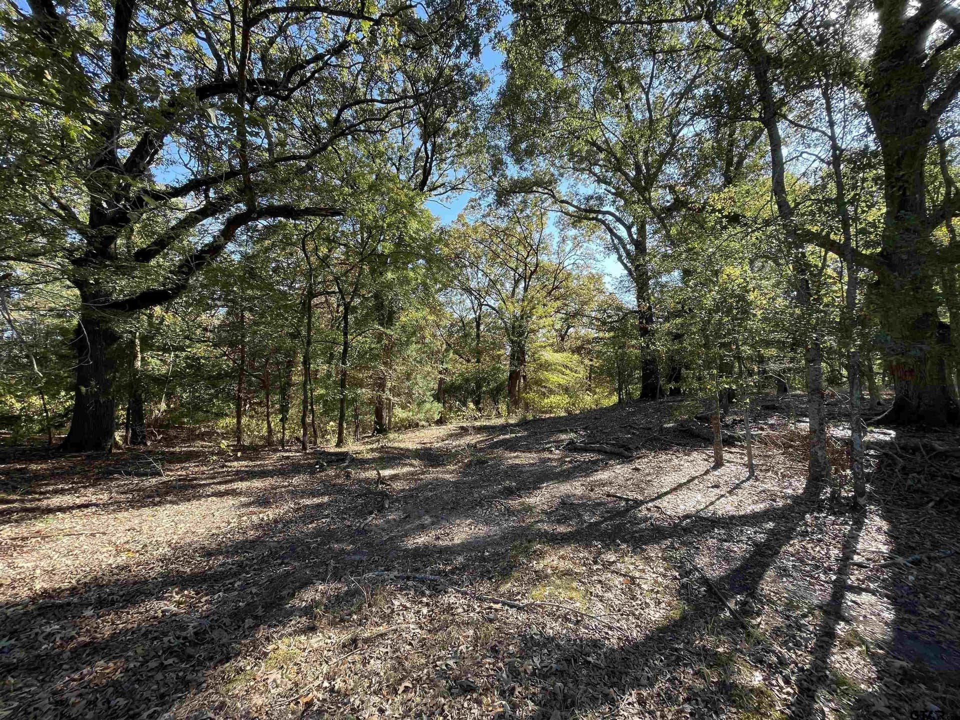79.73 acres in Morris County - photo 3