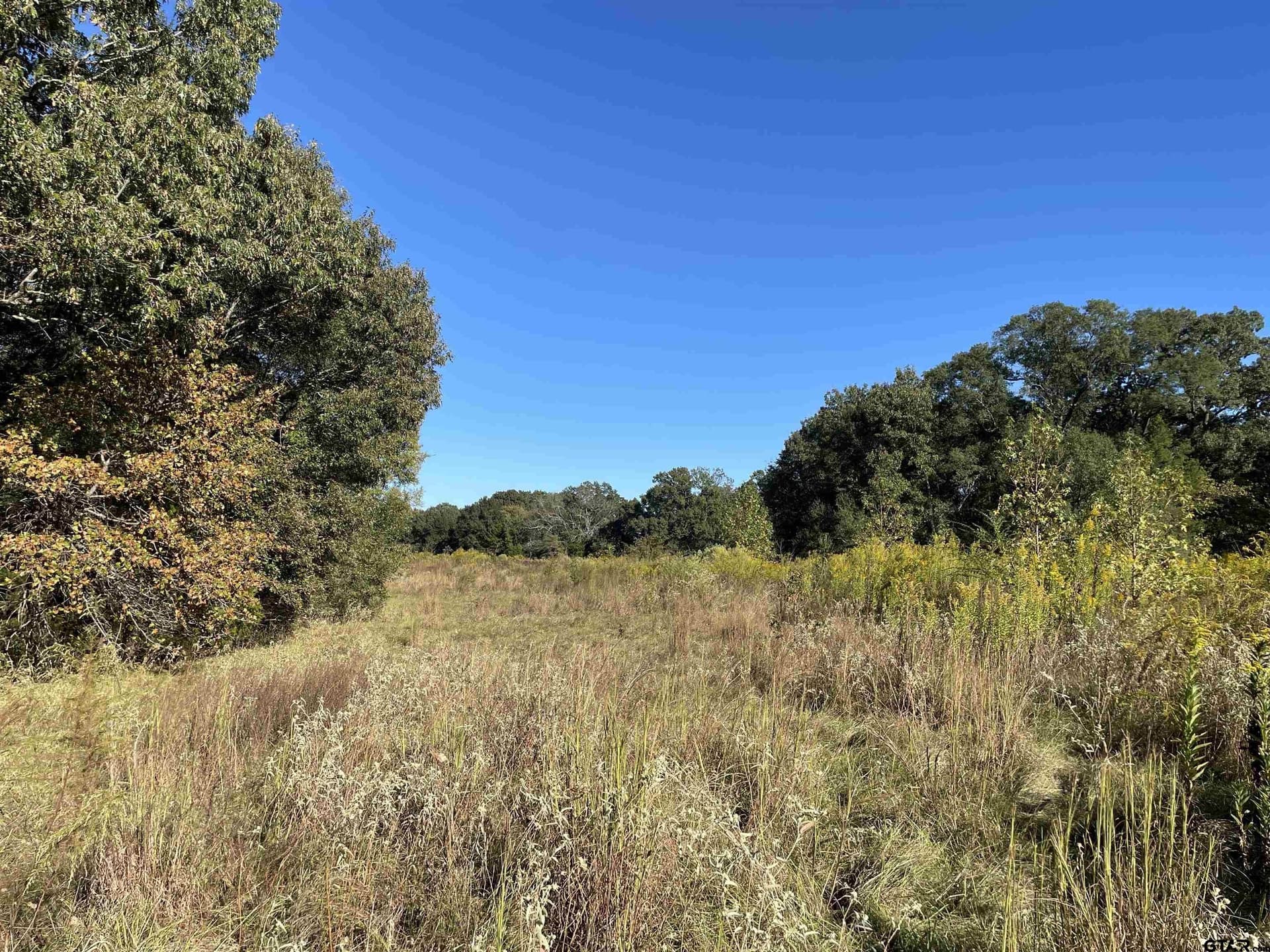 79.73 acres in Morris County - photo 15
