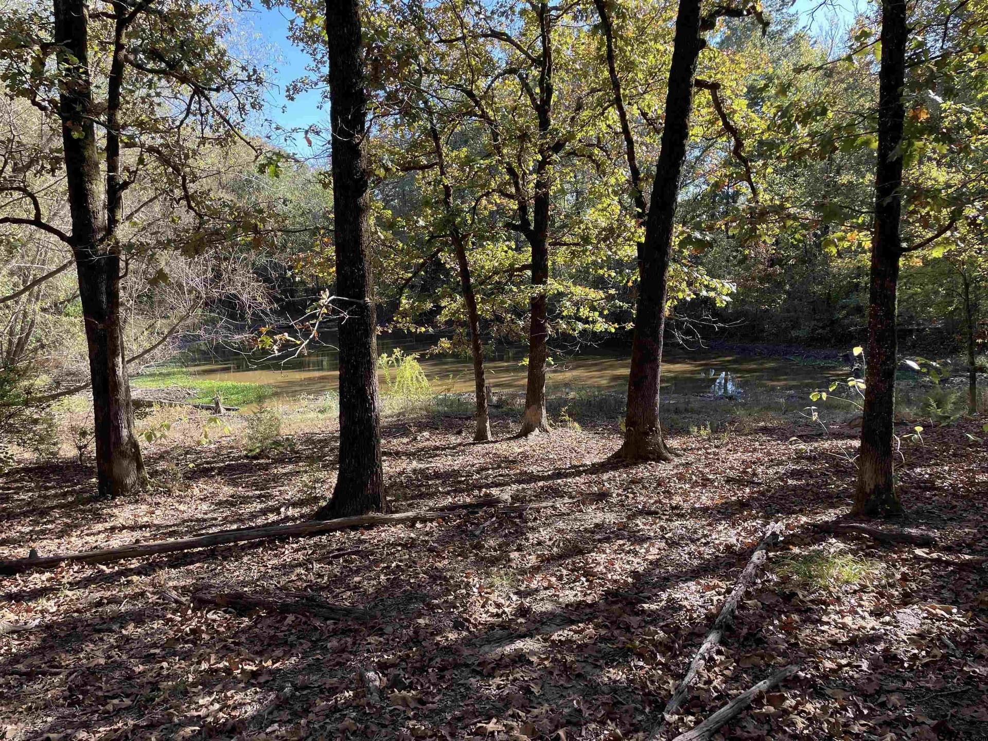 79.73 acres in Morris County - photo 7