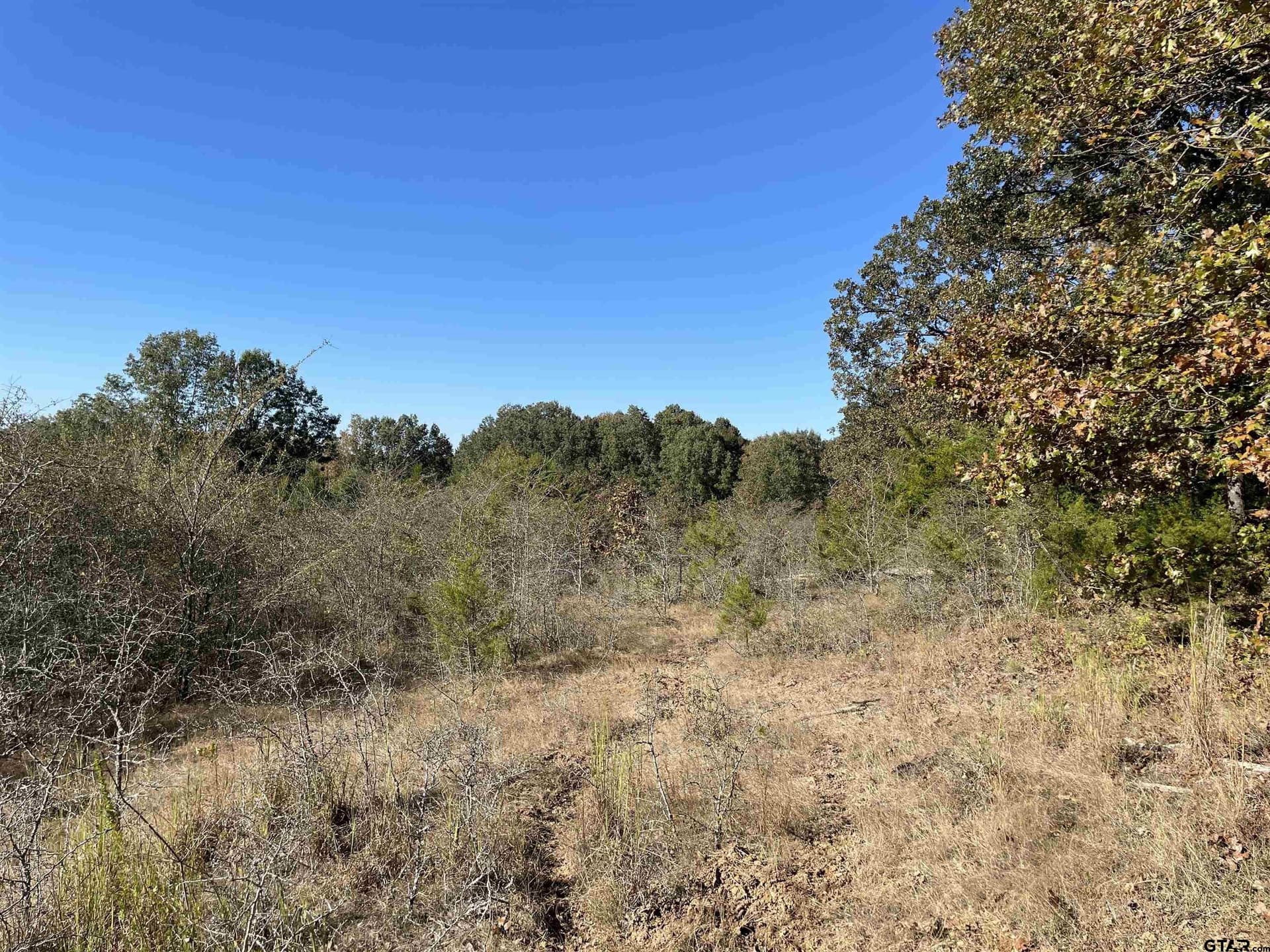 79.73 acres in Morris County - photo 10