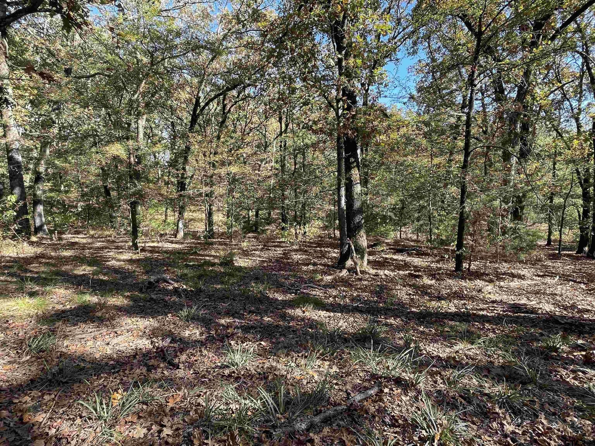 79.73 acres in Morris County - photo 6