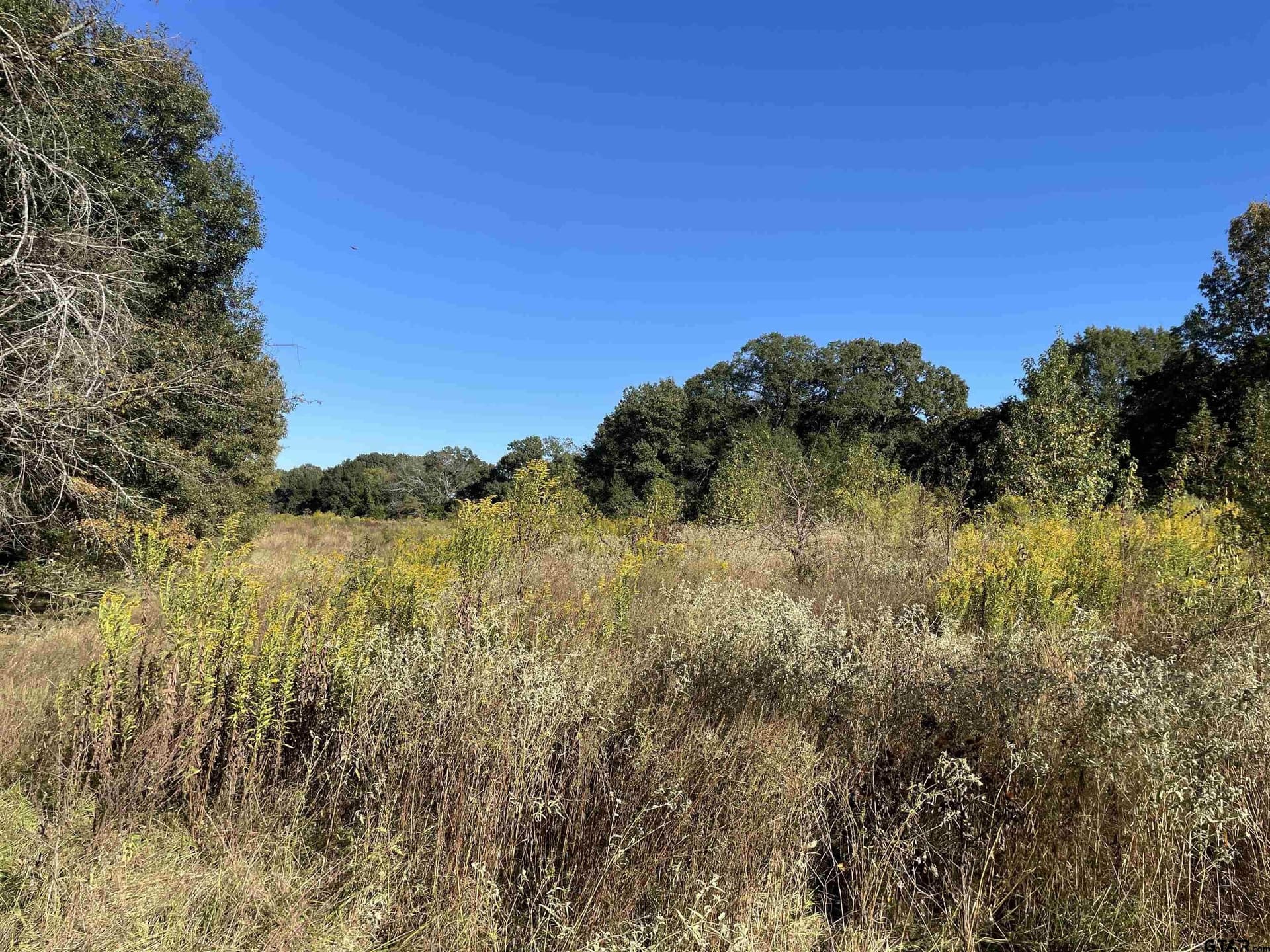 79.73 acres in Morris County - photo 14