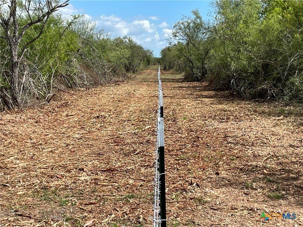 10 acres in Victoria County - photo 5