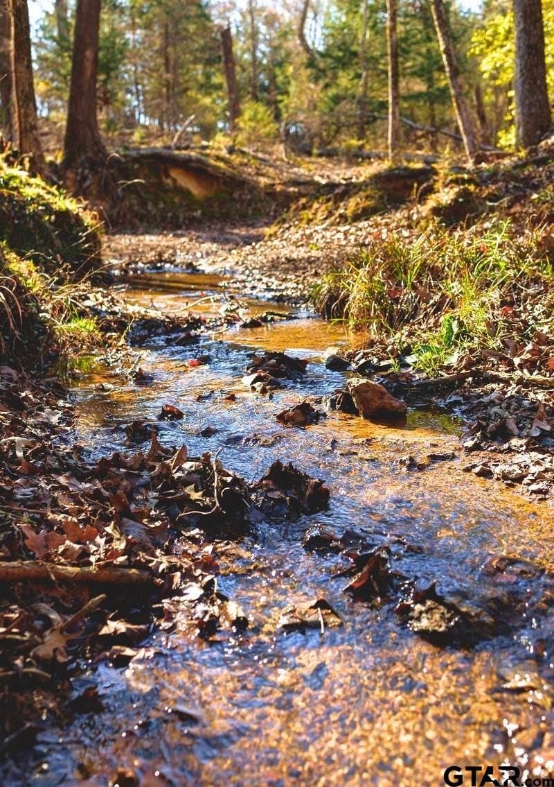 17 acres in Smith County - photo 26