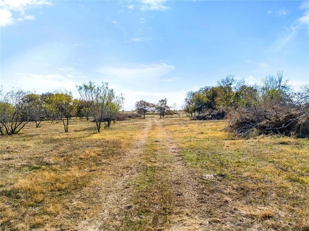 35 acres in Limestone County - photo 9