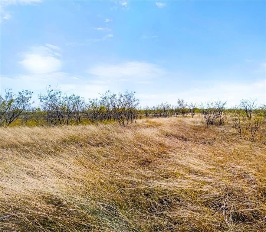 35 acres in Limestone County - photo 13