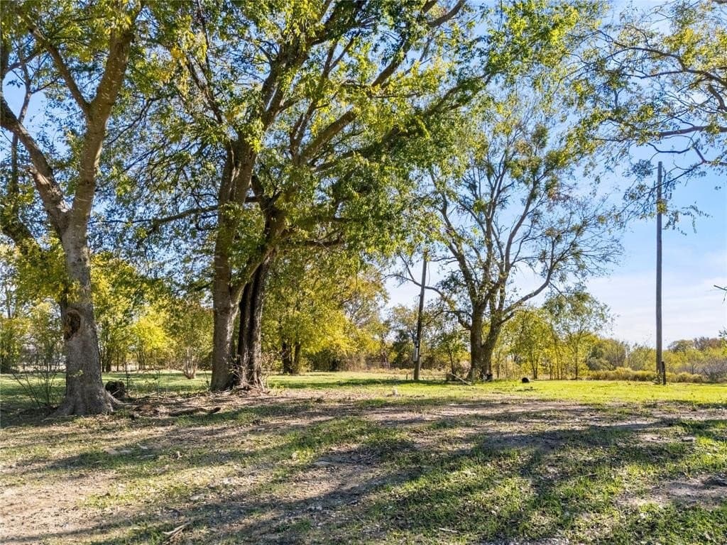 35 acres in Limestone County - photo 5