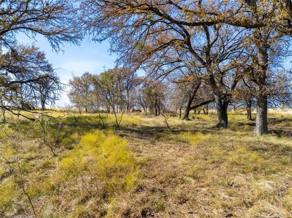 35 acres in Limestone County - photo 7