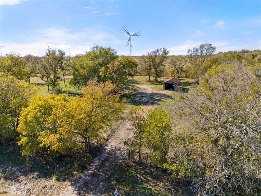 35 acres in Limestone County - photo 3