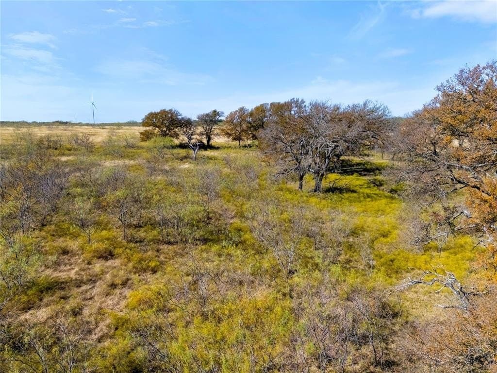 35 acres in Limestone County - photo 14