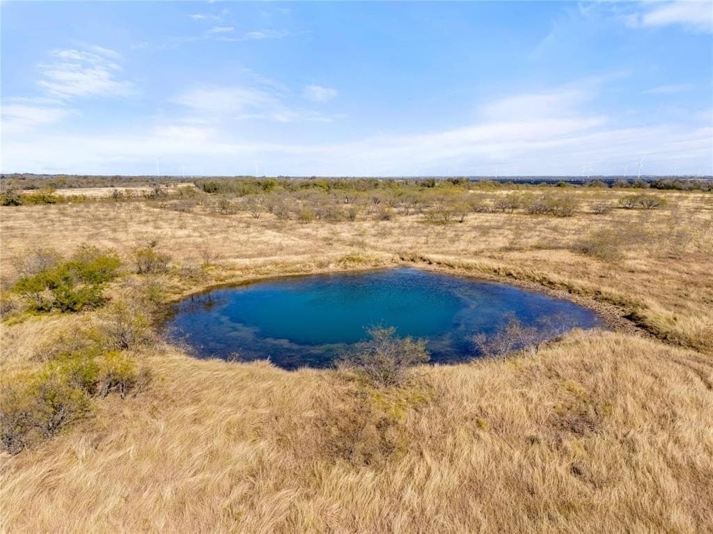 35 acres in Limestone County - photo 10