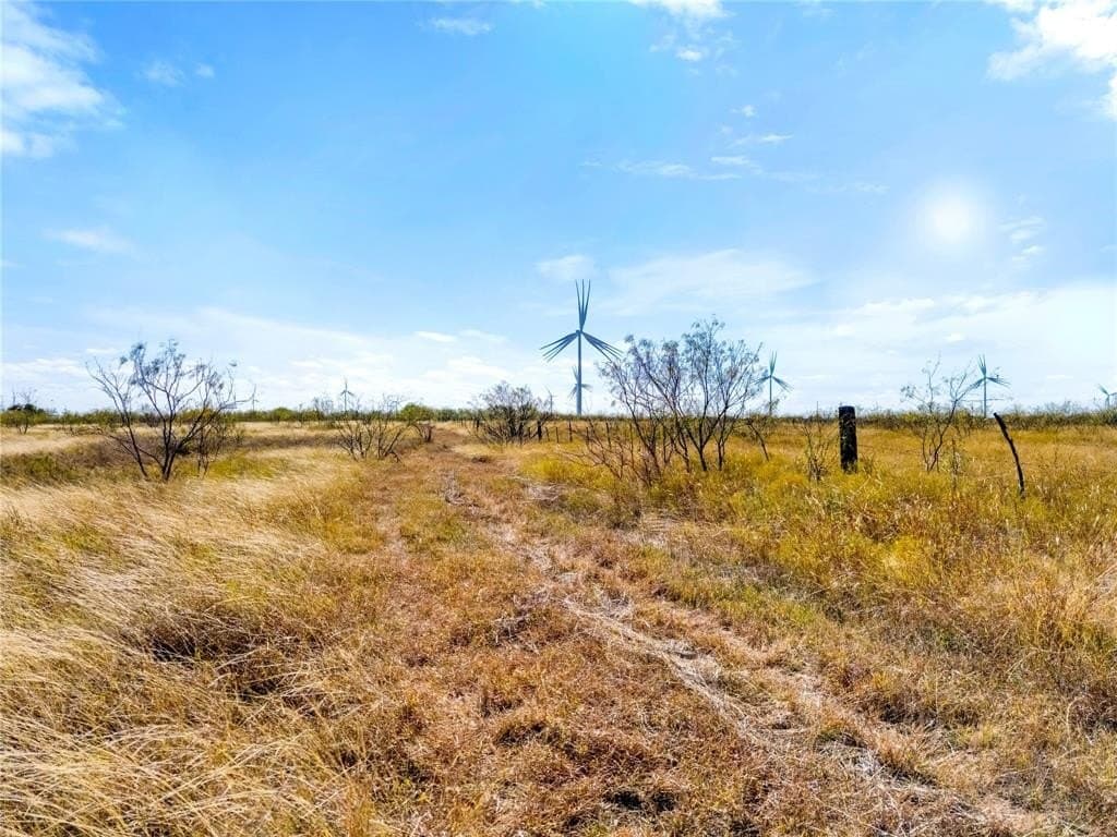 35 acres in Limestone County - photo 12