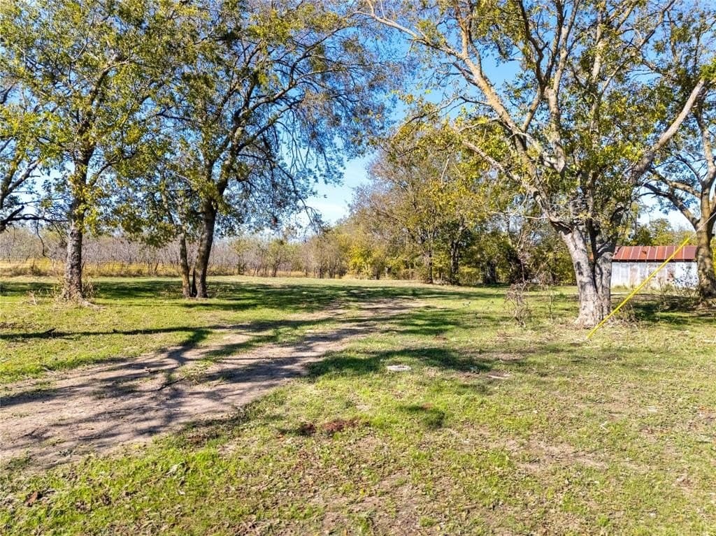 35 acres in Limestone County - photo 4