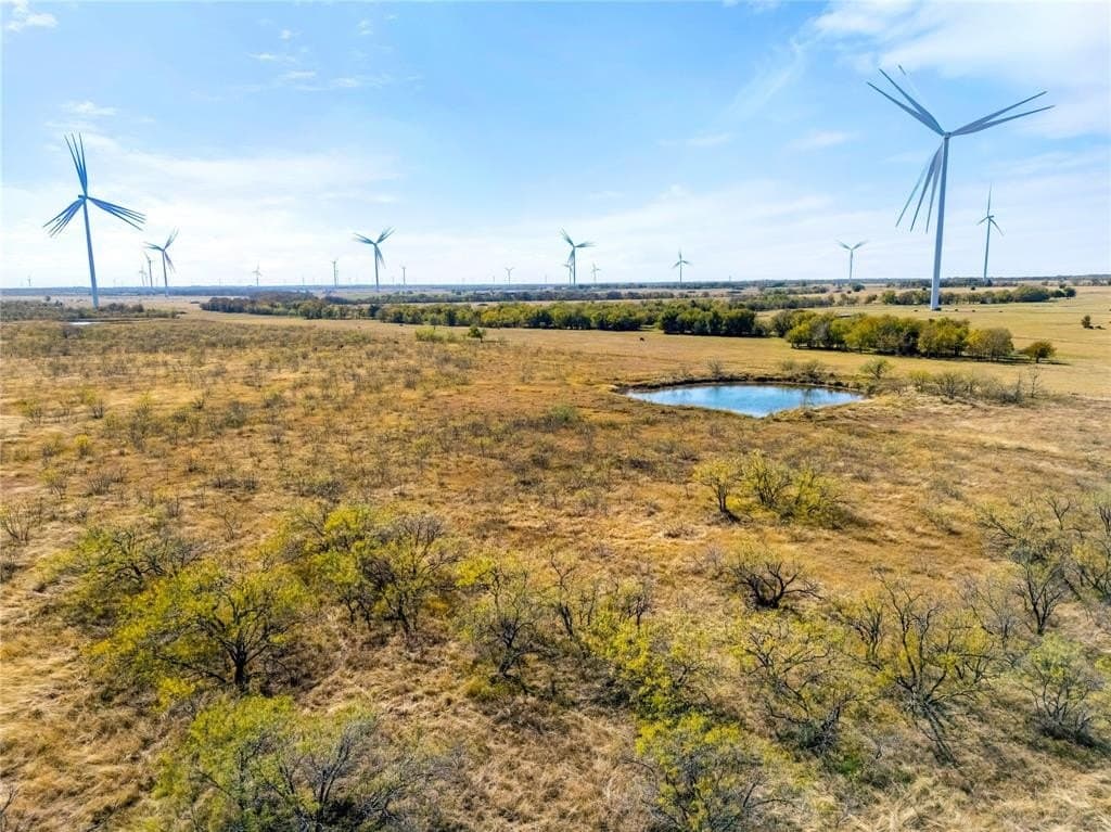 35 acres in Limestone County - photo 11