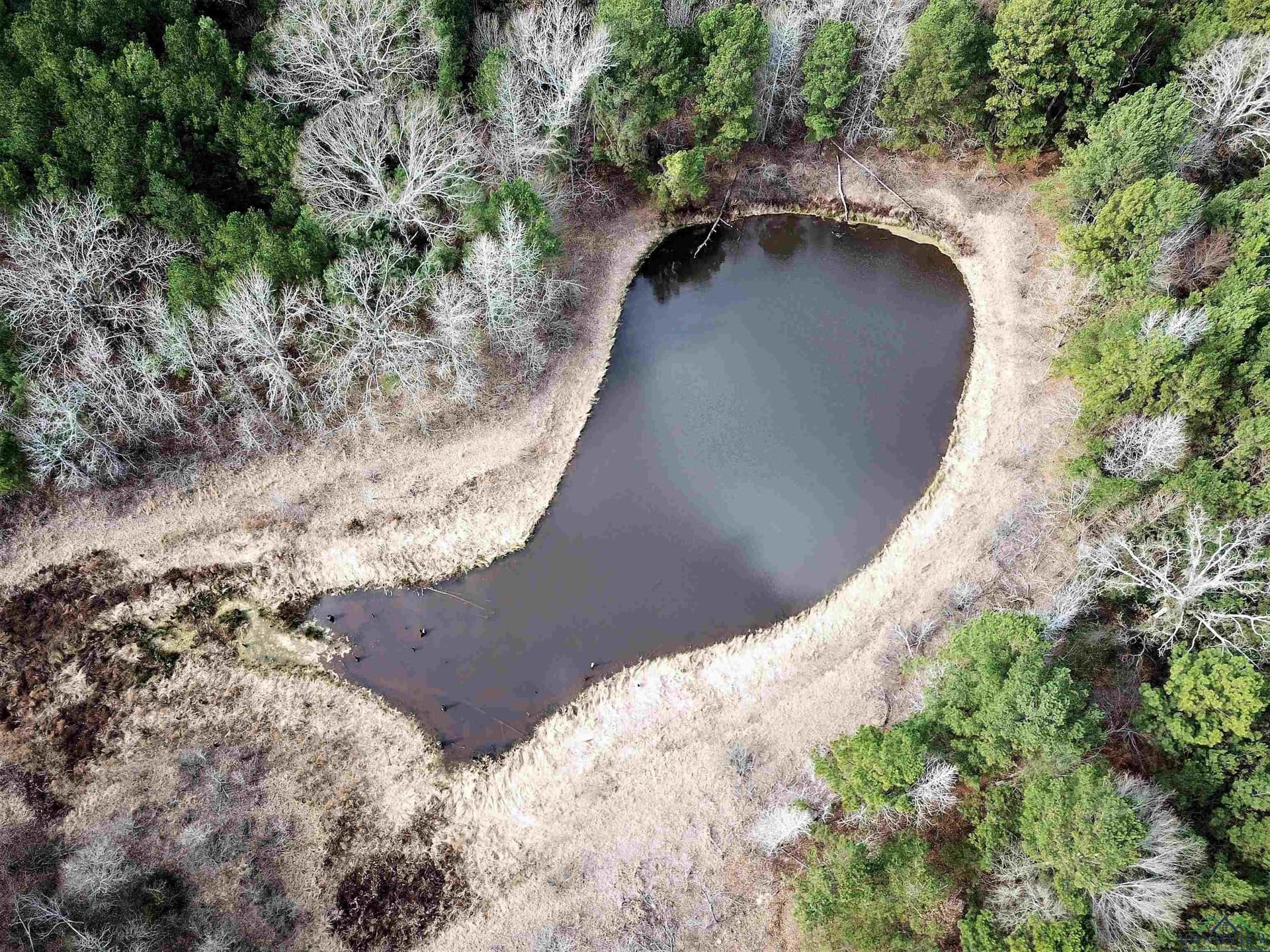 109 acres in Gregg County - photo 6