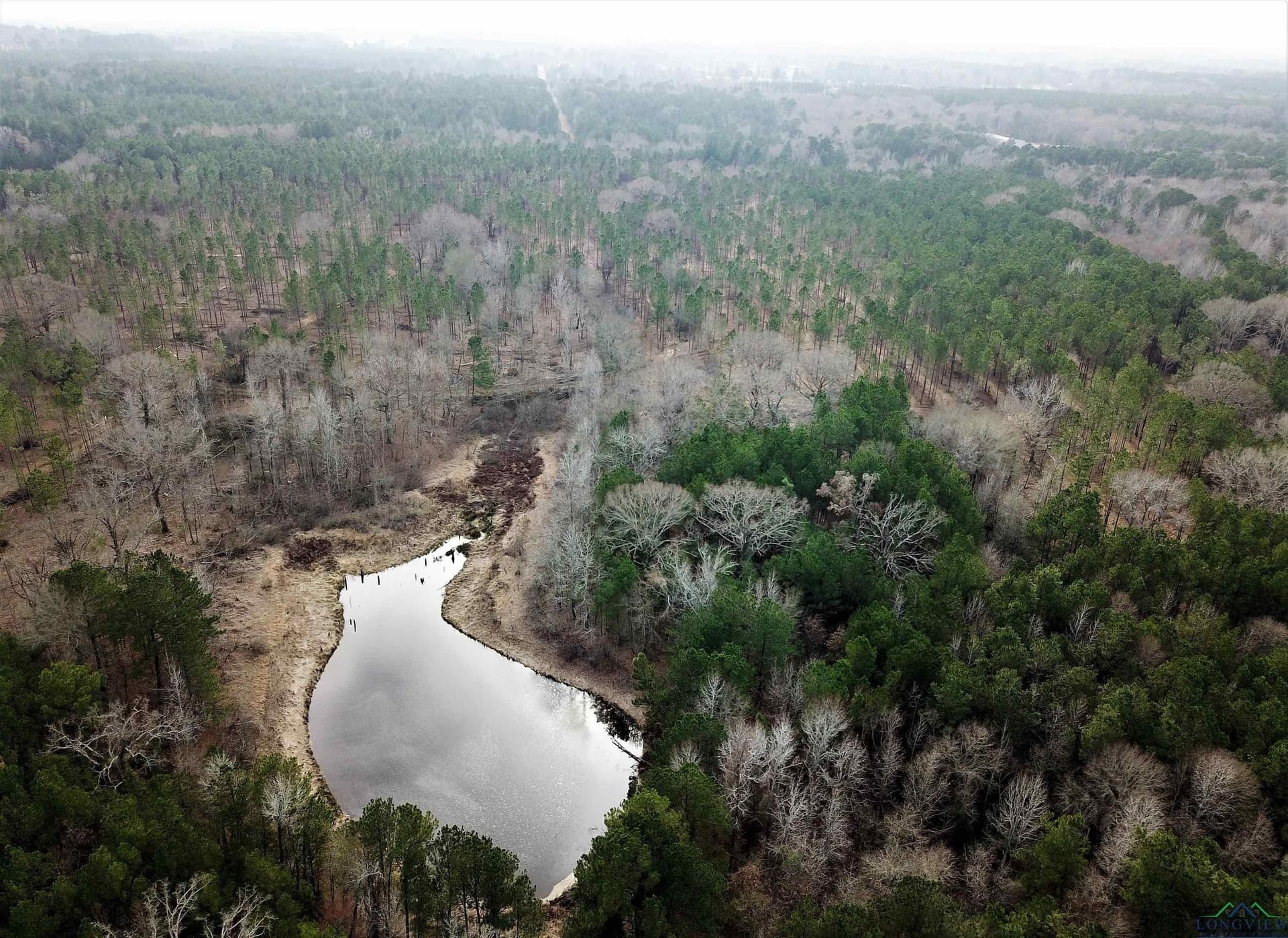 109 acres in Gregg County - photo 2