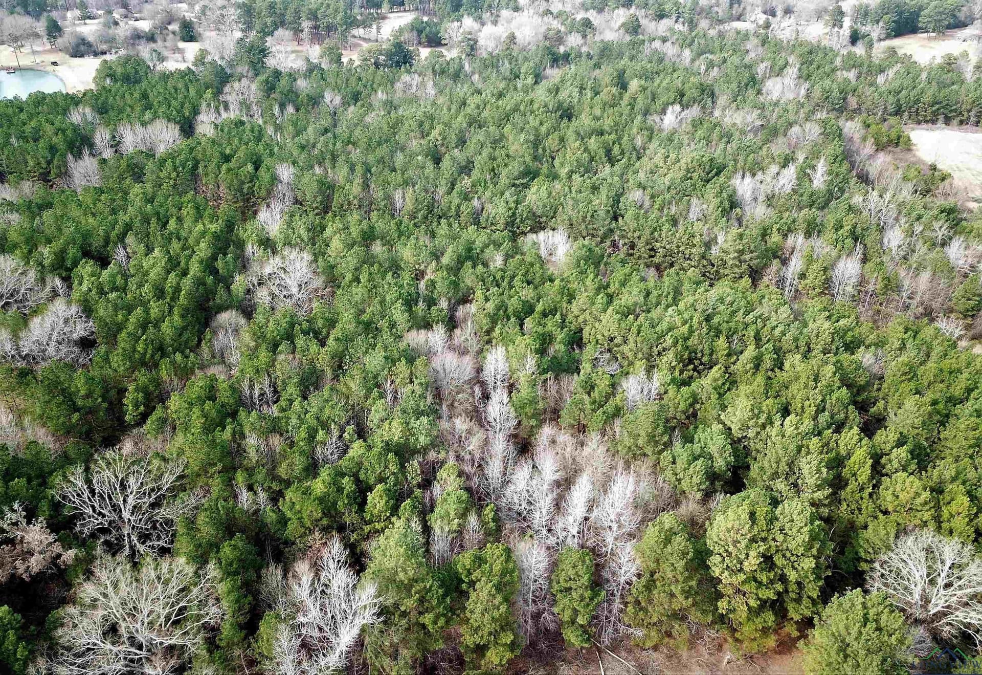109 acres in Gregg County - photo 5