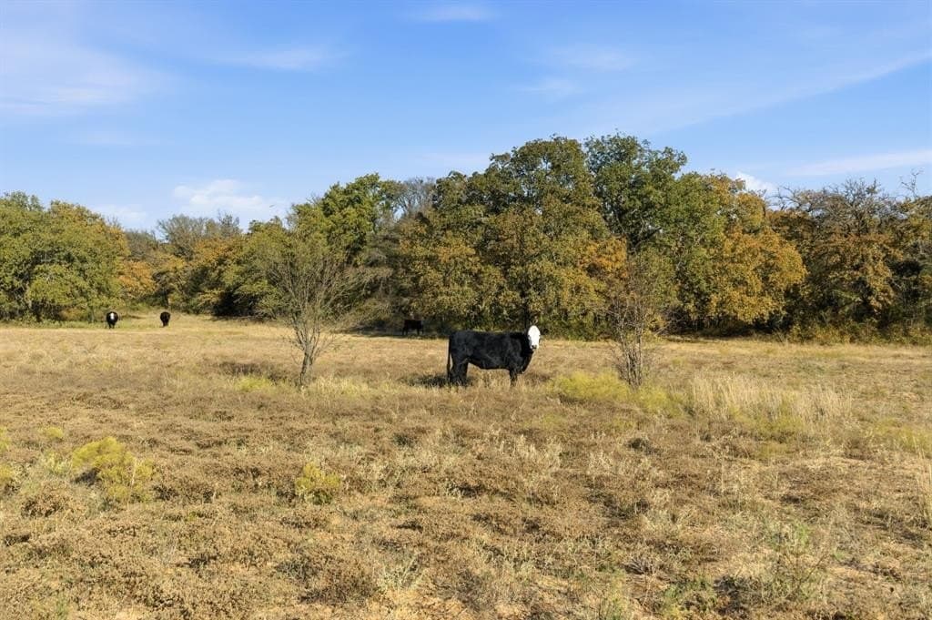 38 acres in Hood County - photo 3