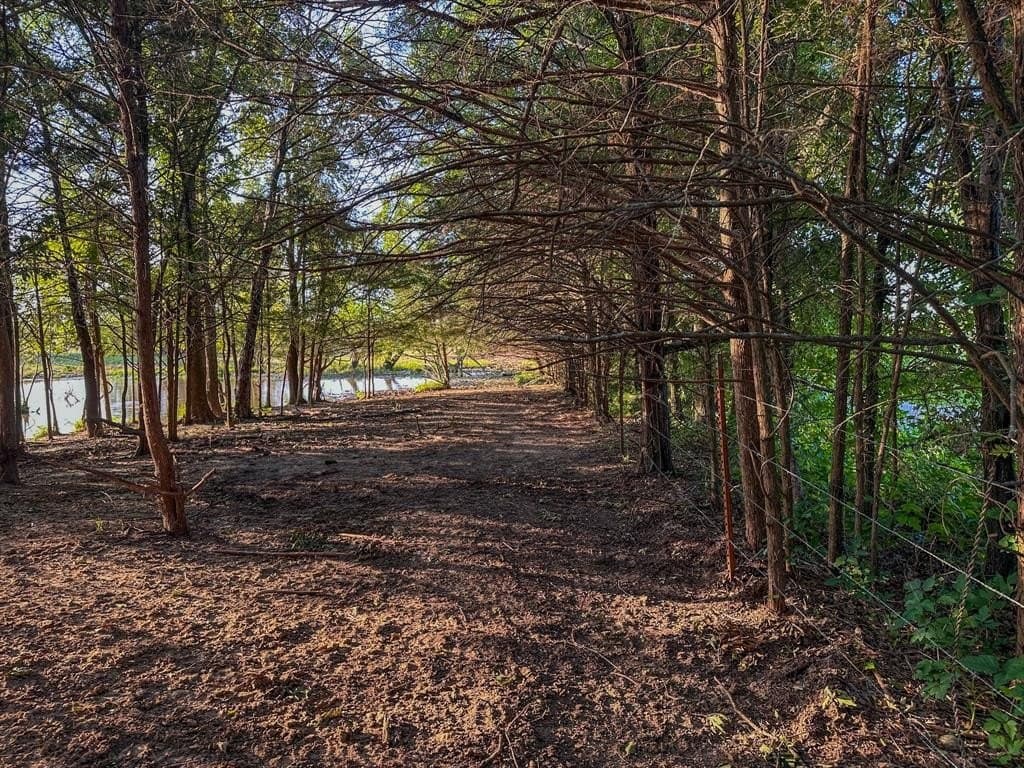 25 acres in Fannin County - photo 22