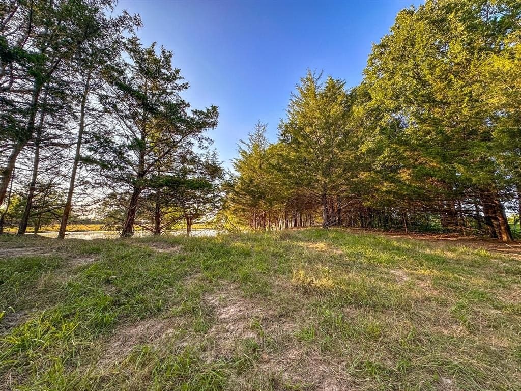 25 acres in Fannin County - photo 21