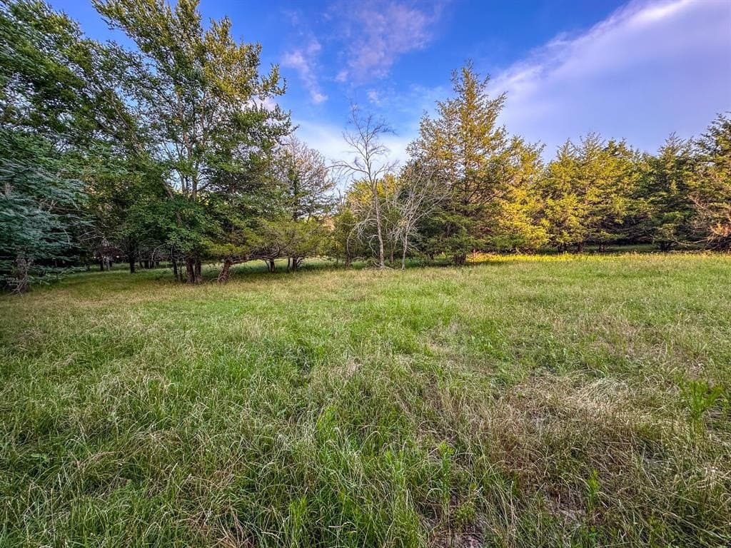 25 acres in Fannin County - photo 13