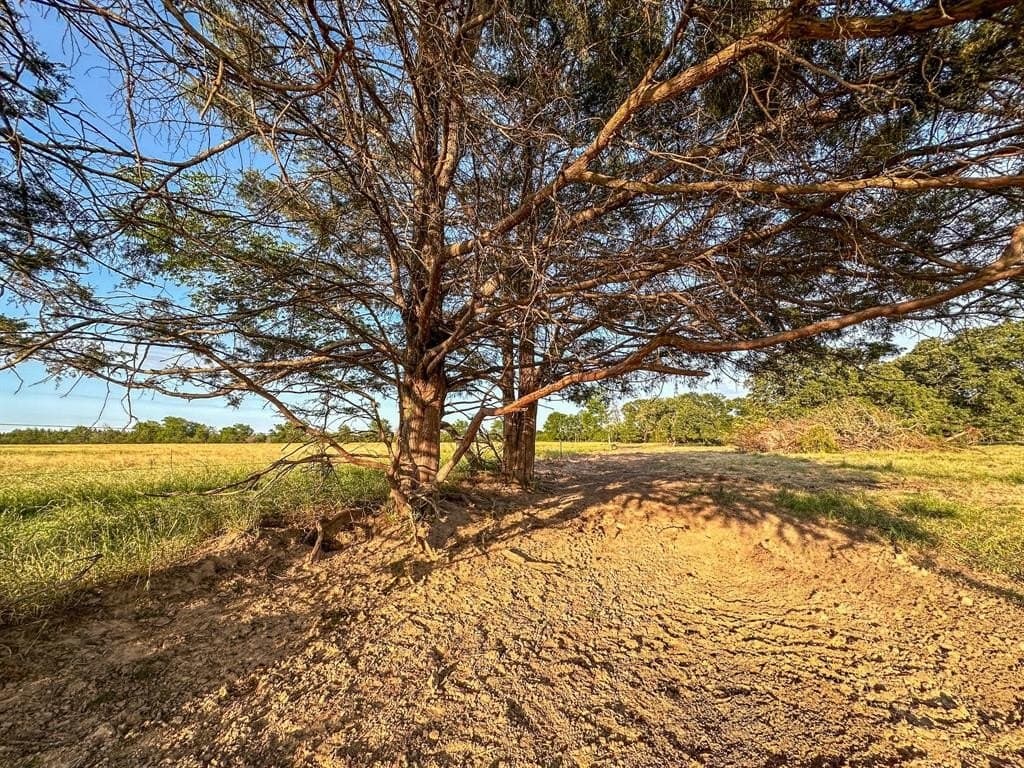 25 acres in Fannin County - photo 20