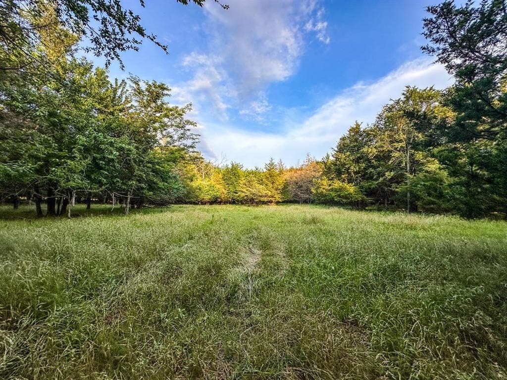 25 acres in Fannin County - photo 14