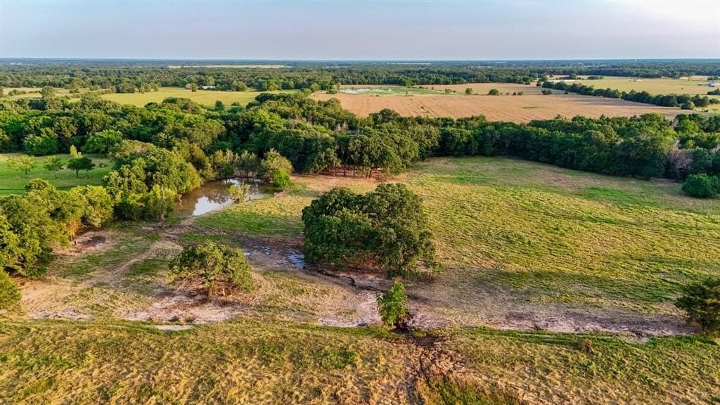 25 acres in Fannin County - photo 17