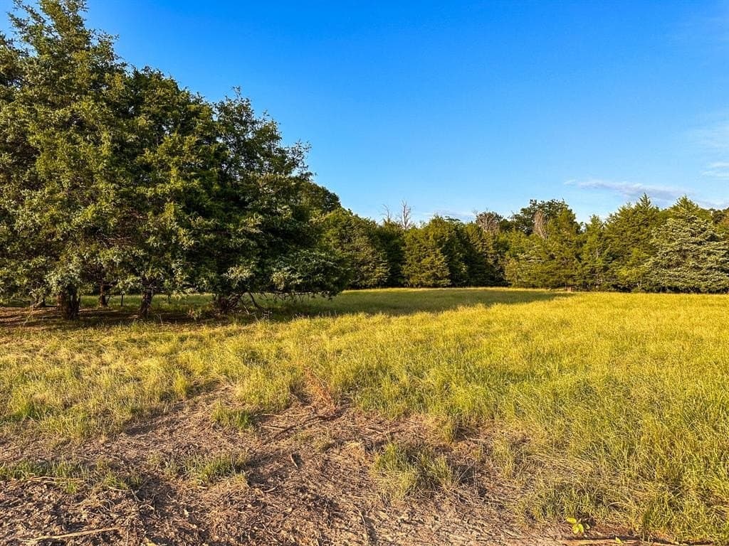25 acres in Fannin County - photo 12
