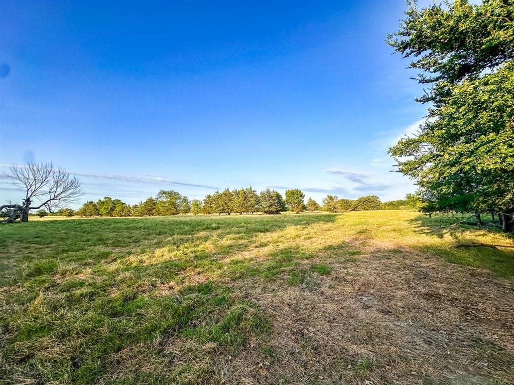 25 acres in Fannin County - photo 11
