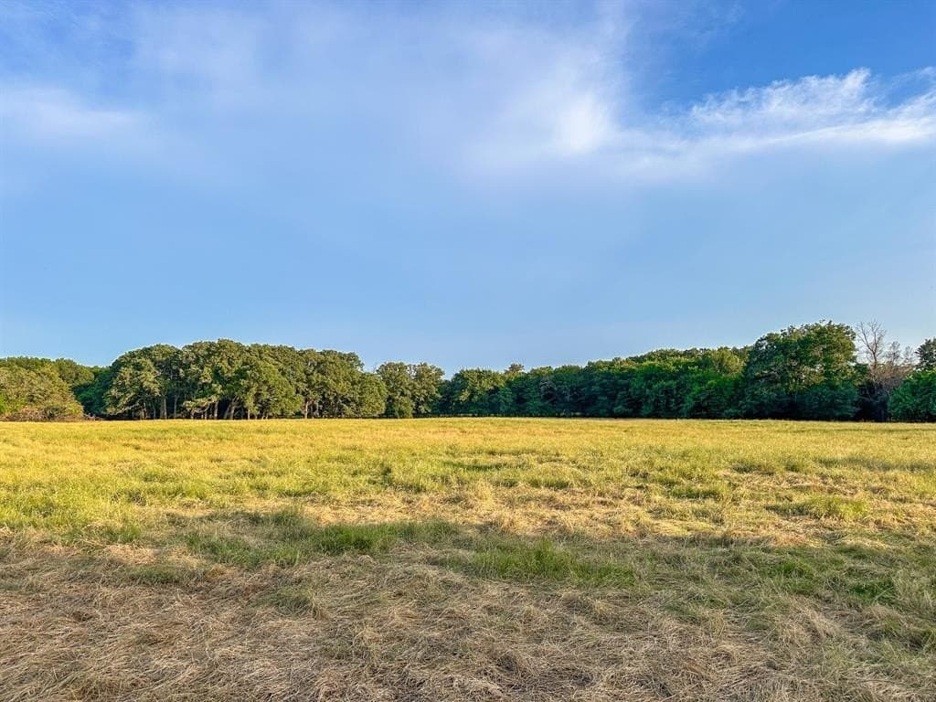 25 acres in Fannin County - photo 9